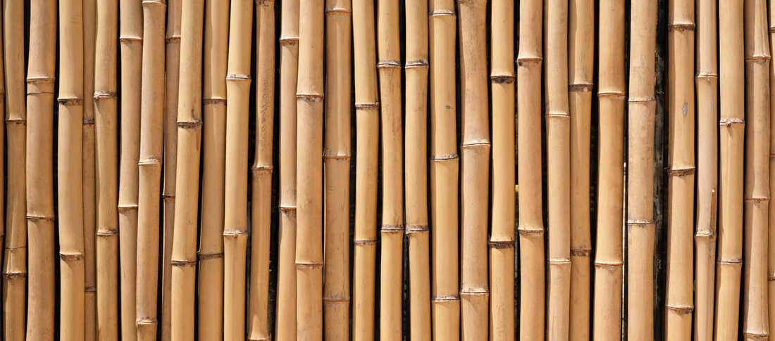 bamboo Using Seal It Green's Bamboo Armor