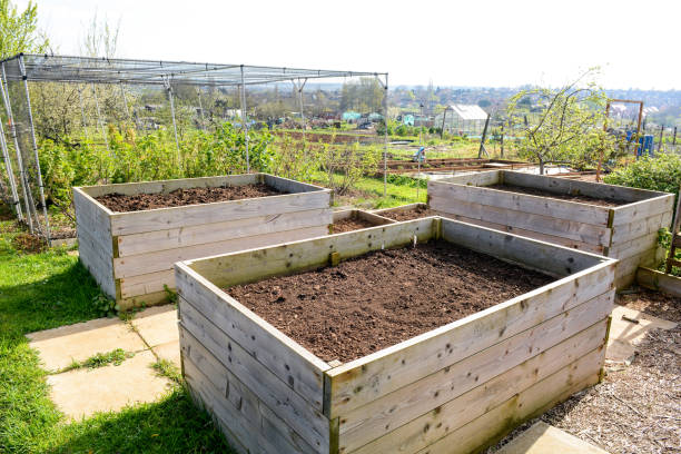 garden beds