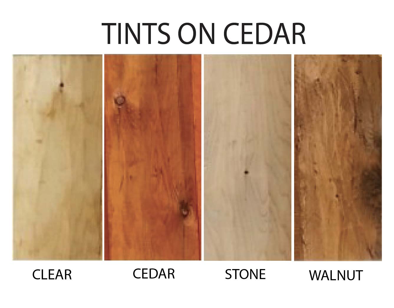 Image illustrating four wood samples labeled "Clear," "Cedar," "Stone," and "Walnut," showing different tints on cedar wood.