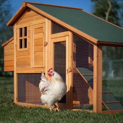 Pet Safe Wood Sealer That Is Also A Food Safe Stain For Planter Boxes Seal It Green Extreme Garden Box Image Of Chicken Coup