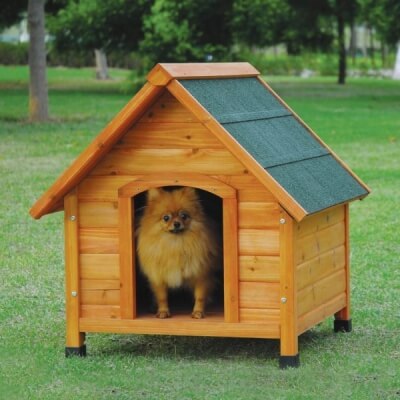 Pet Safe Wood Sealer That Is Also A Food Safe Stain For Planter Boxes Seal It Green Extreme Garden Box Image Of Dog House