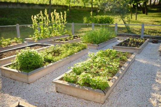 Garden beds