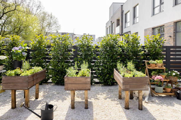 garden boxes