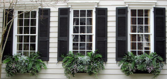Three windows with black shutters and lush green window boxes filled with ferns and flowers on a light-colored house facade.