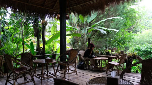 Natural Outdoor Wood Sealers