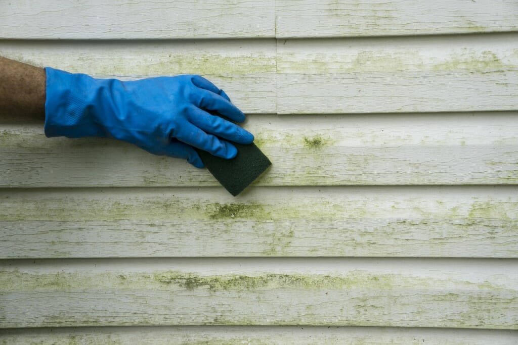 Vinyl Siding Cleaner