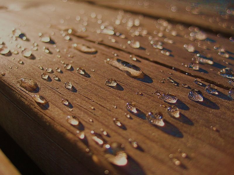 Plant Based Wood Sealants