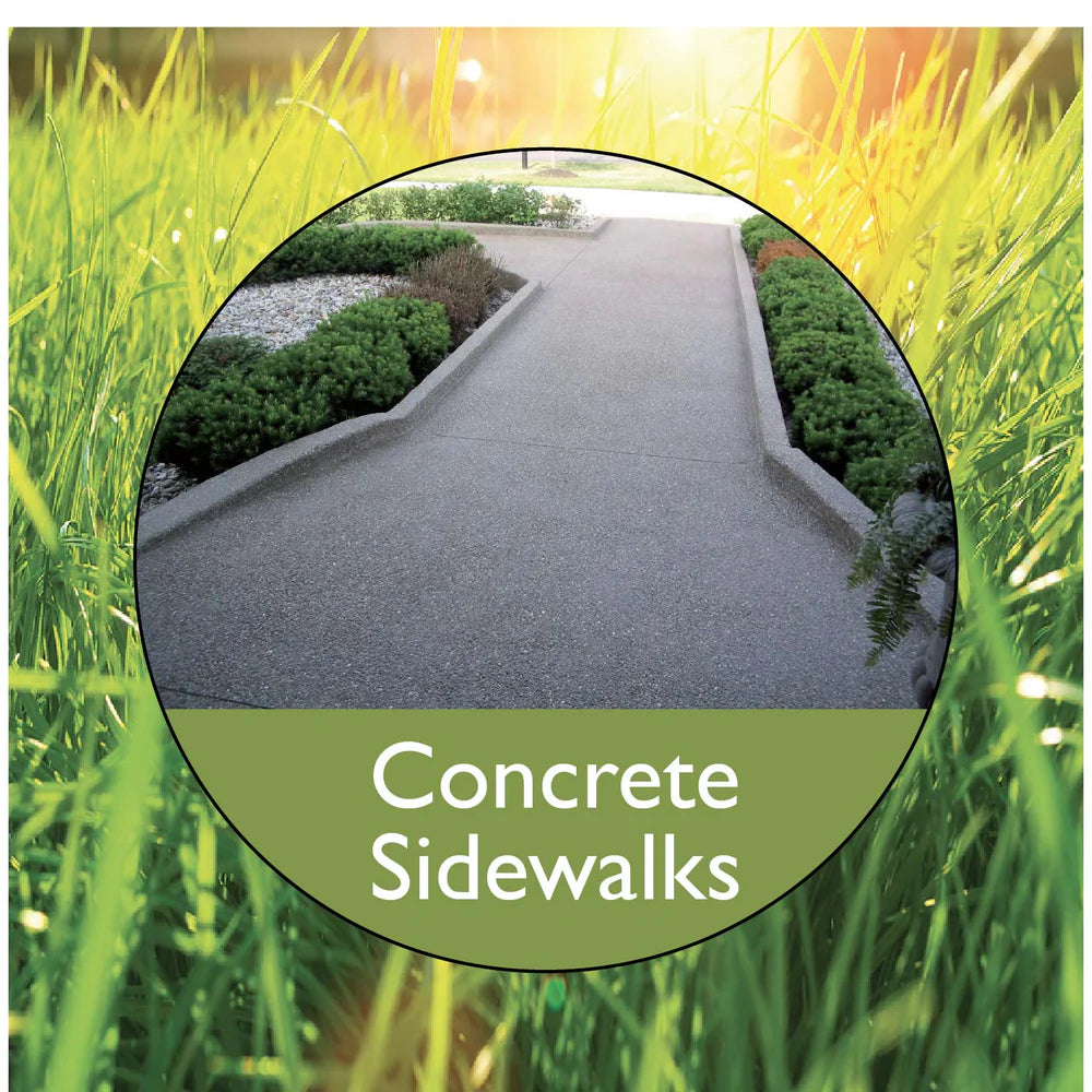 A smooth concrete sidewalk bordered by greenery, highlighted by soft sunlight, showcasing a clean and inviting path.