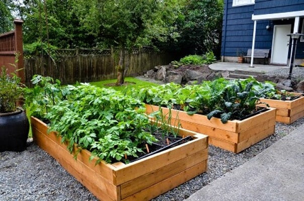 Seal It Green Garden Box Wood Stain Safe For Vegetable Garden Image Of Raised Bed Vegetable Garden