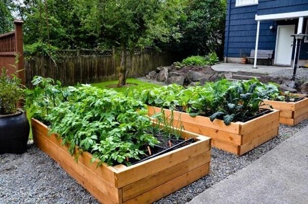 Garden Box Armor™ Plant Based Wood Sealer 2400 SF