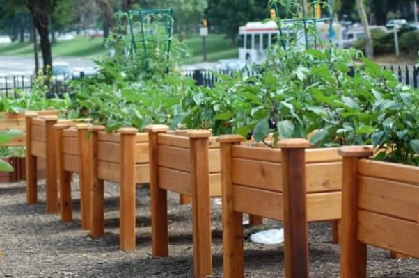 Seal It Green Garden Box Wood Stain Safe For Vegetable Garden Image Of Raised Bed Vegetable Garden